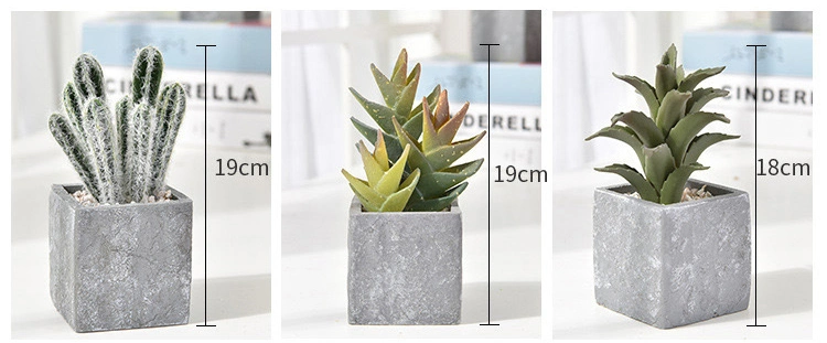 Artificial Succulent Cactus Faked Air Plants with Gray Pots for Desktop