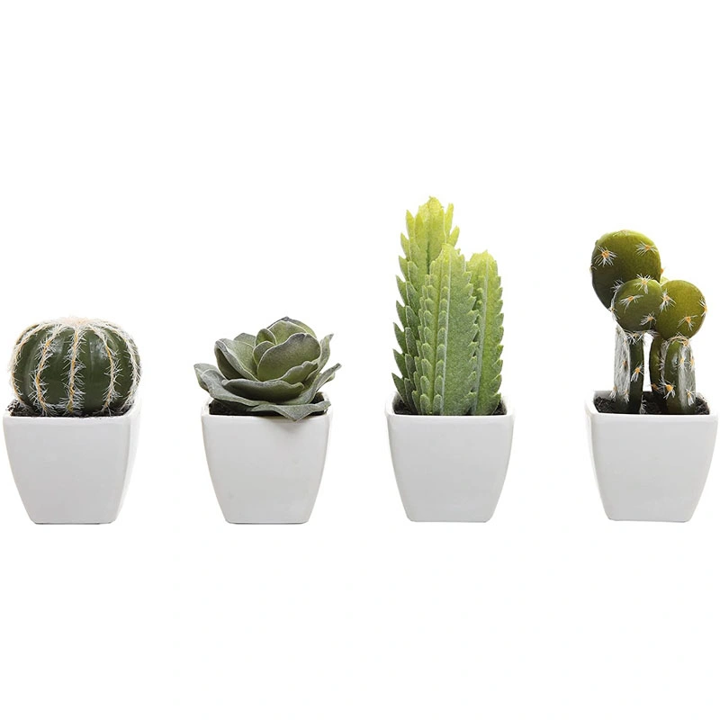 Set of 4 Assorted Miniature Artificial Succulent &amp; Cactus in Pots