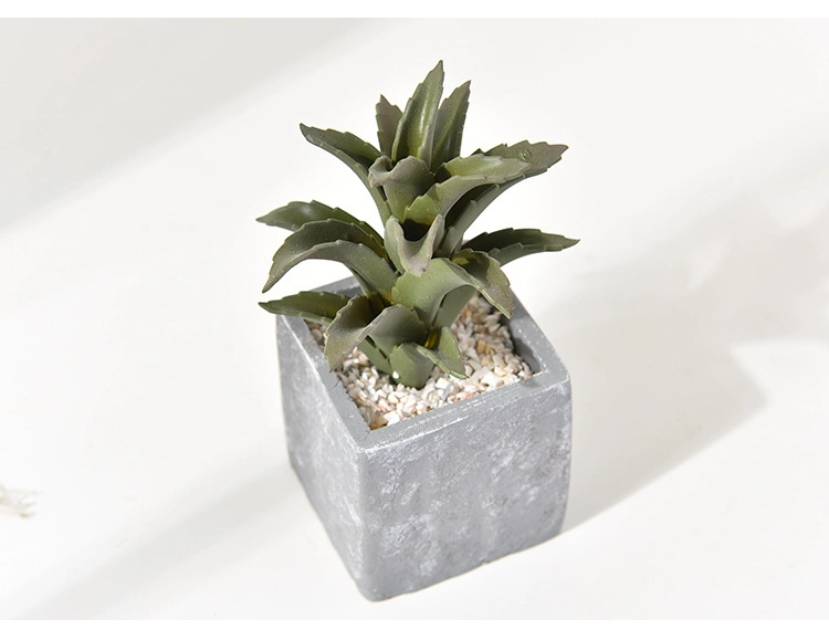 Artificial Succulent Cactus Faked Air Plants with Gray Pots for Desktop