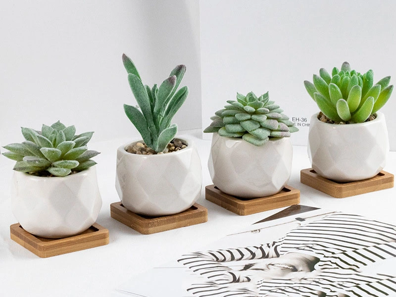 Mini Realistic Fake Succulents with Ceramics Pots for Home Decoration