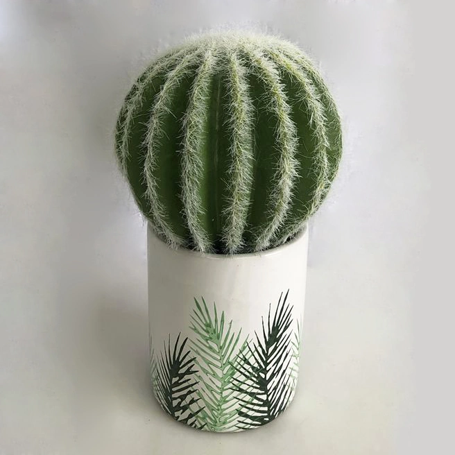 23cm High Decoration Mini Cactus in Plasic Pot-P5205-23