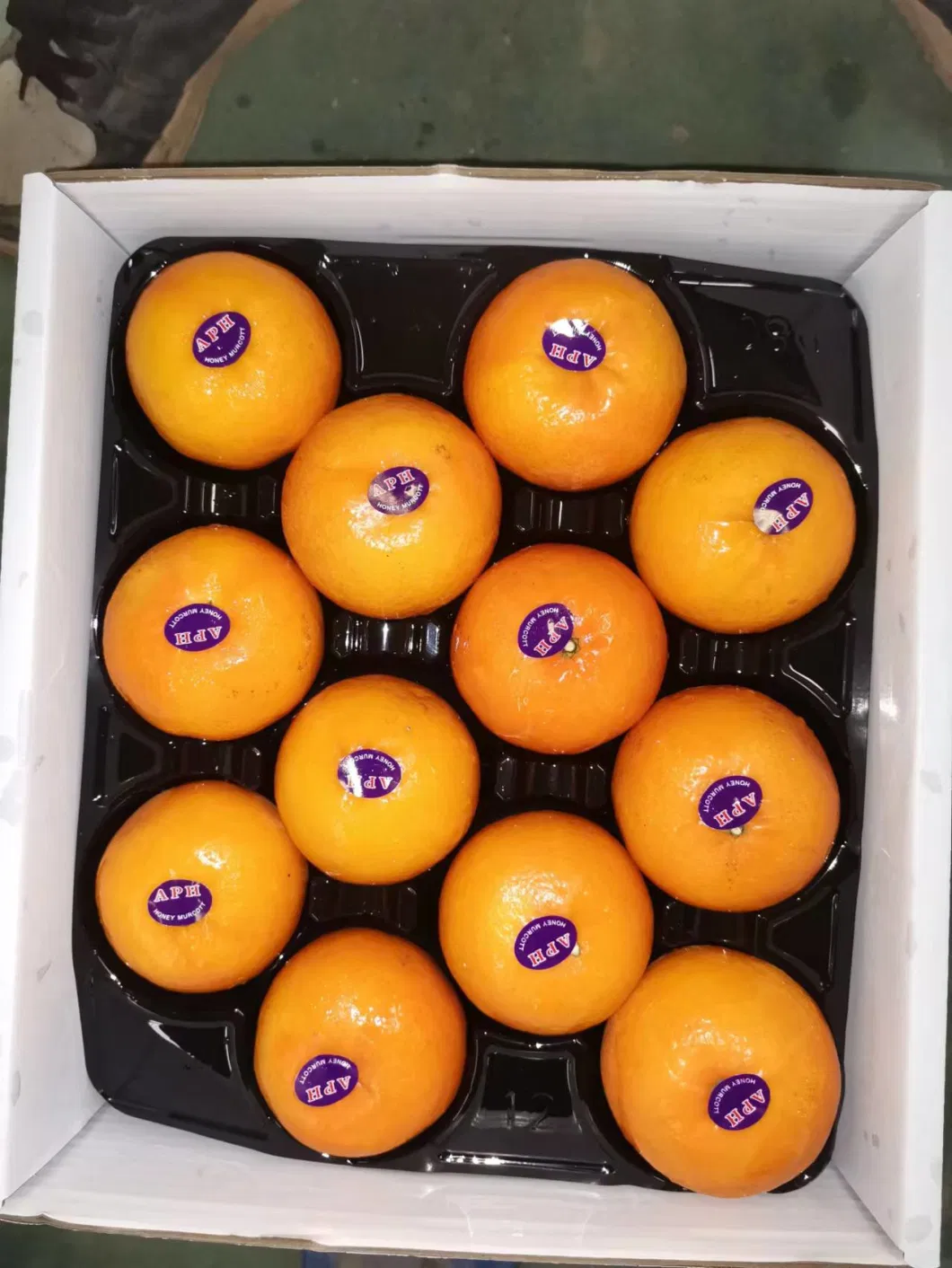 Fresh Sweet Mandarin Juicy Murcott Mandarin