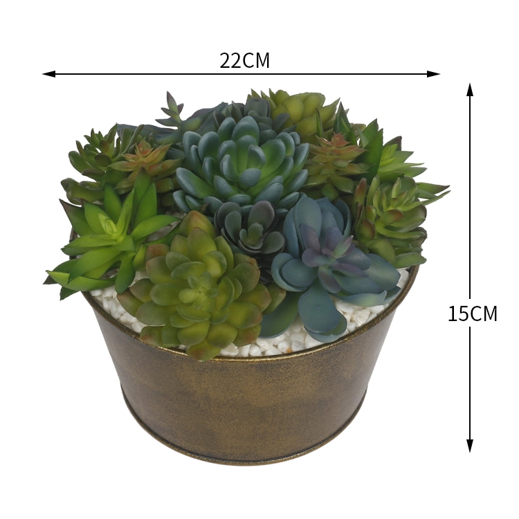 Arrangement Artificial Succulent Plants with Iron Pots Succulent Flower Pot for Home Hotel Decoration