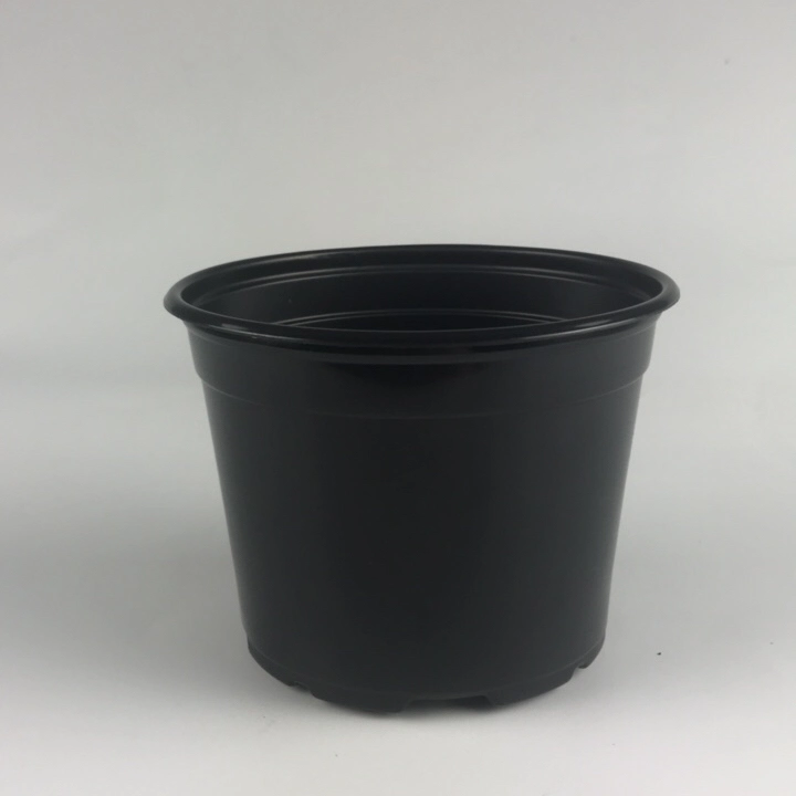 New Plastic Pots, Plastic Product 5&quot; Round Pot