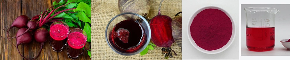 ISO Certified Red Color Beetroot Red Extract Beetroot Extract Betanin