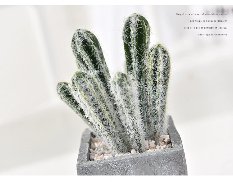 Artificial Succulent Cactus Faked Air Plants with Gray Pots for Desktop