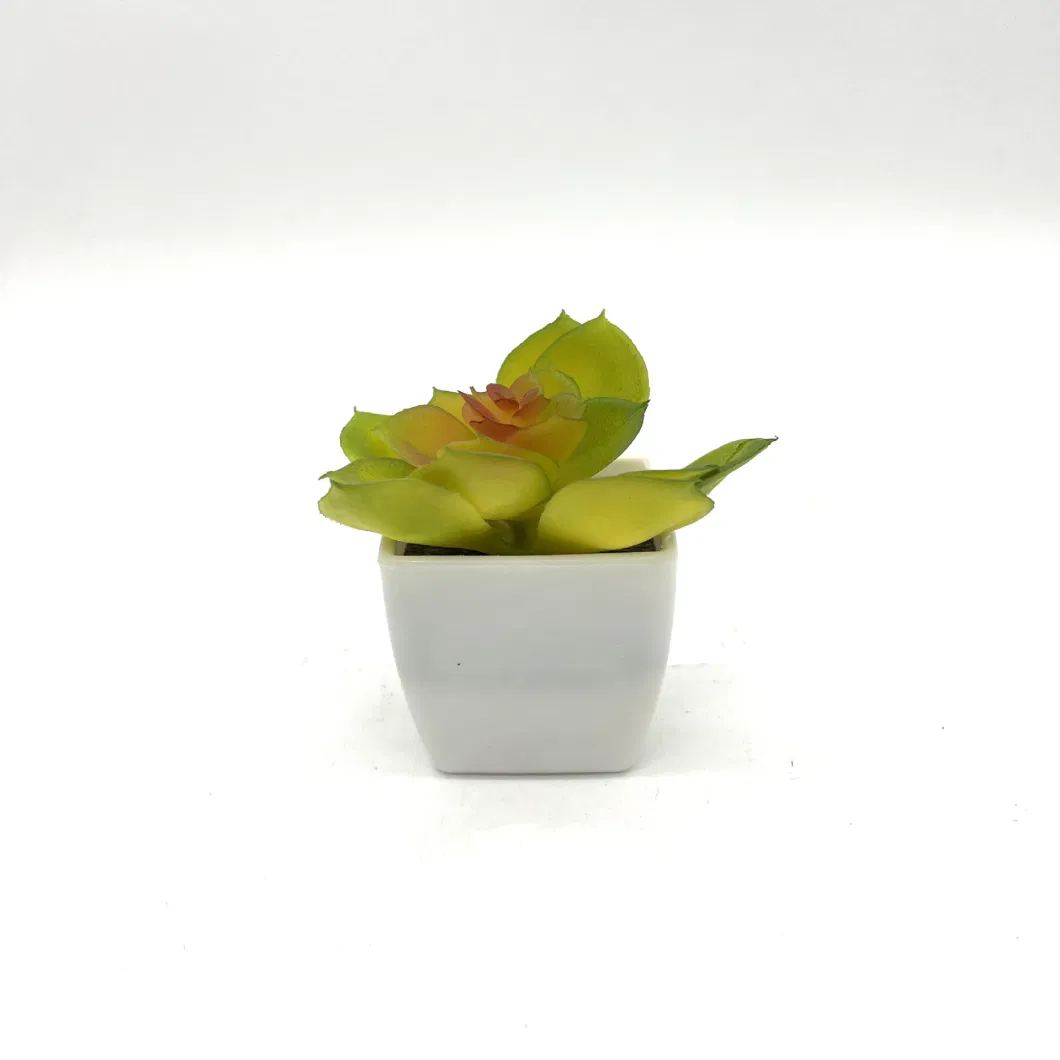 Simulation Succulents Small Potted Plants Indoor Placed Fake Flowers Green Plant Ornaments