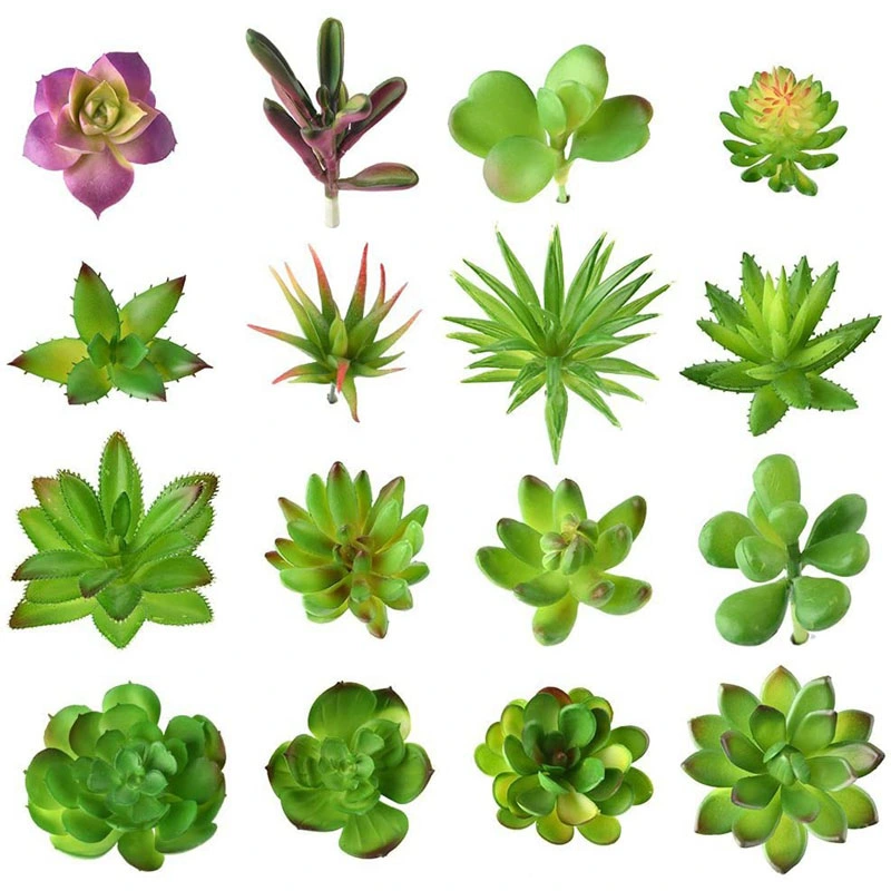 Wholesale Cheap Artificial Succulent Competitive Prices Creative Artificial Succulent Plants