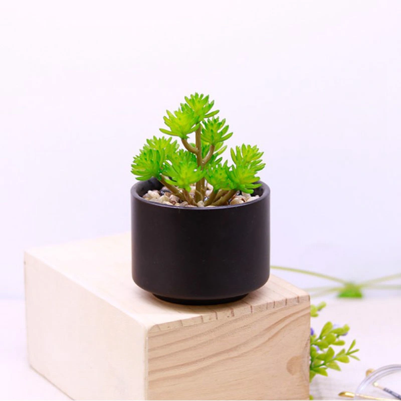 Artificial Plants Mini Succulent Flowers in Ceramics Pot