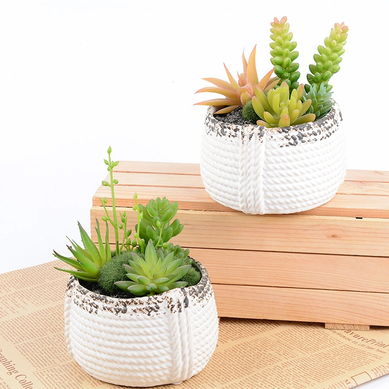 Succulent Ceramic Plant Pot Planters