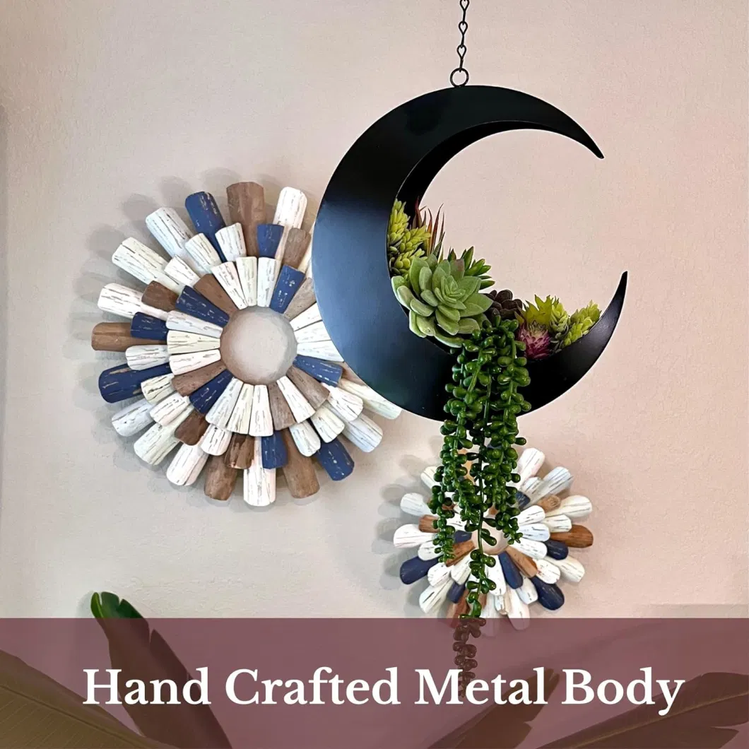 Metal Hanging Succulent Moon Planter for Indoor Plants