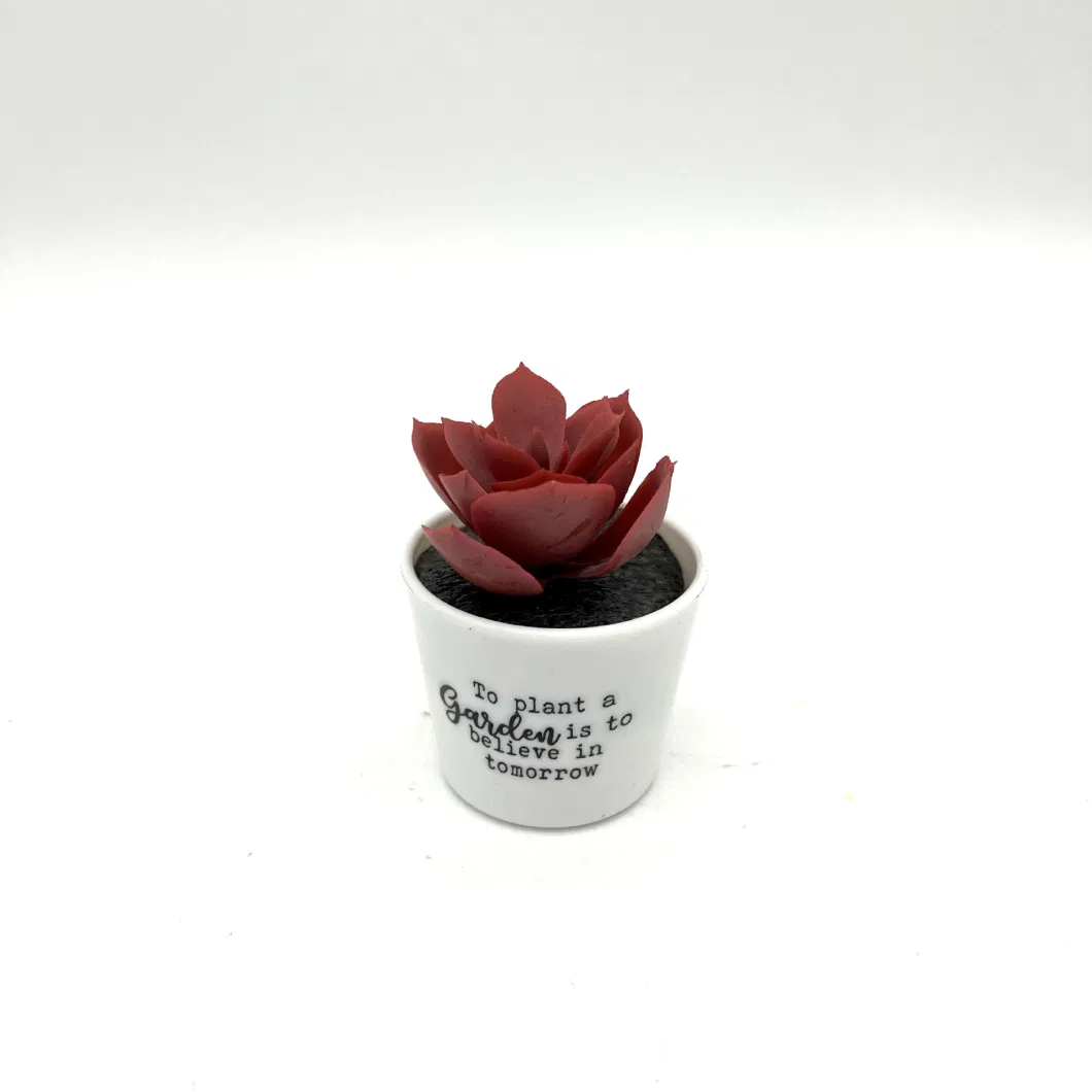 Simulation Succulents Small Potted Plants Indoor Placed Fake Flowers Green Plant Ornaments