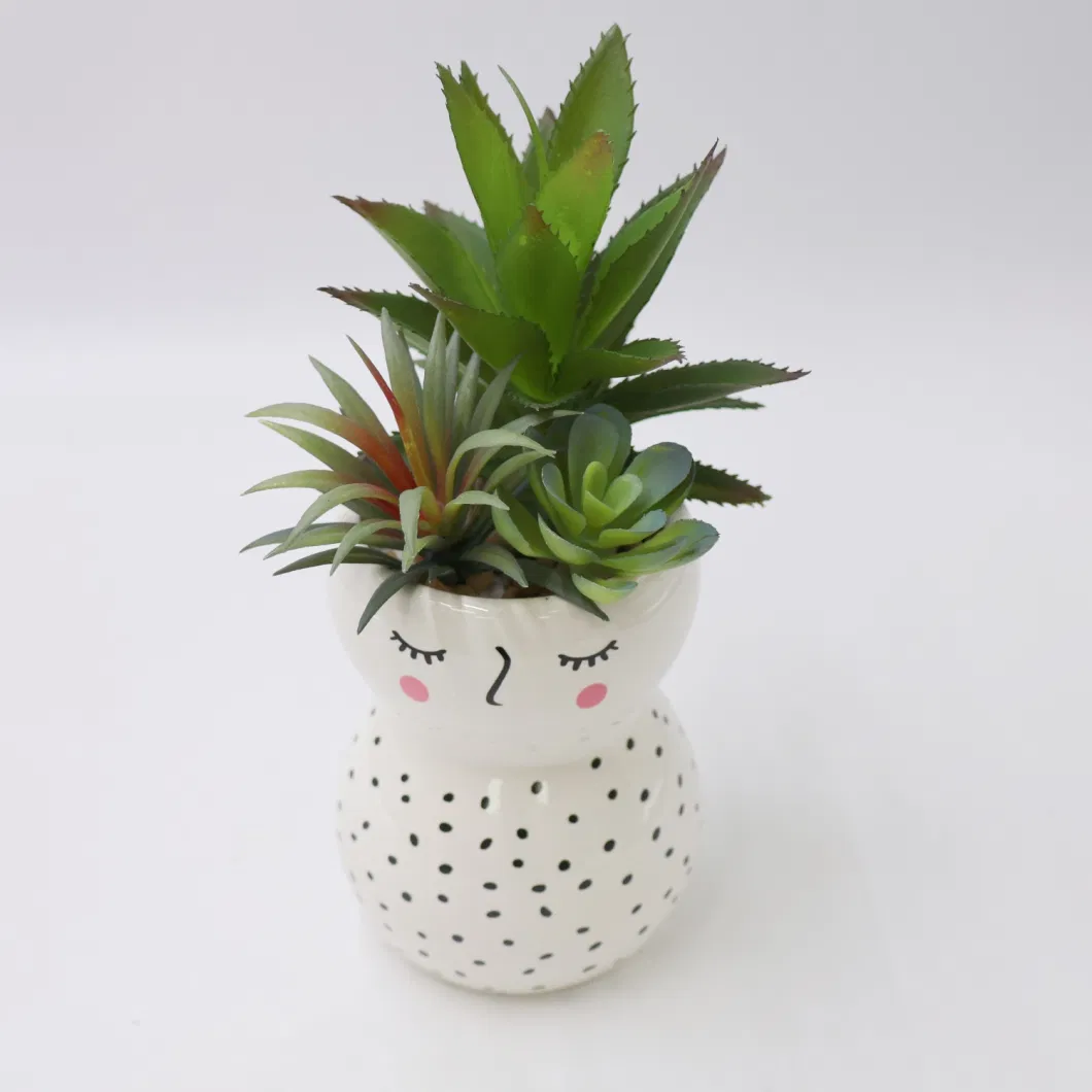 Hot Sales Succulent Plants Wholesale Artificial Plants Succulent for Home Decor