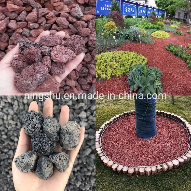 Horticultural Lava Rock Soil Additive Volcanic Rock for Cacti Succulents Plants