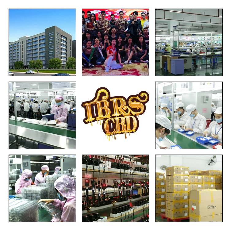 China Factory OEM Randm 5% 2% 10000puffs 20ml E-Liquid Mesh Coil Oil Vape Electronic Cigarette Juicy Fruit Vape