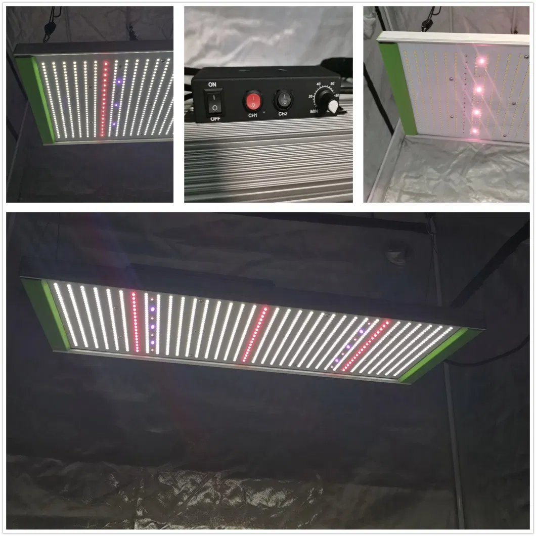 LED Grow Light 320W Indoor Plant Grow Light Full Spectrum Grow Light for Seedling Veg Flower Fruits Succulent