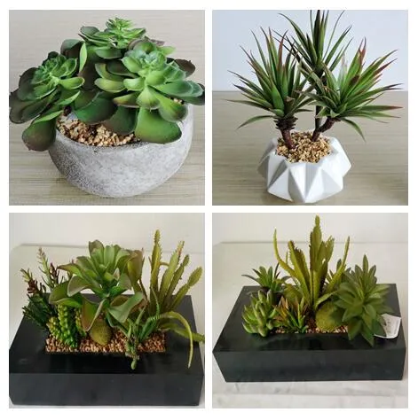 13cm H Artificial Mini Potted Mix Succulent for Sale