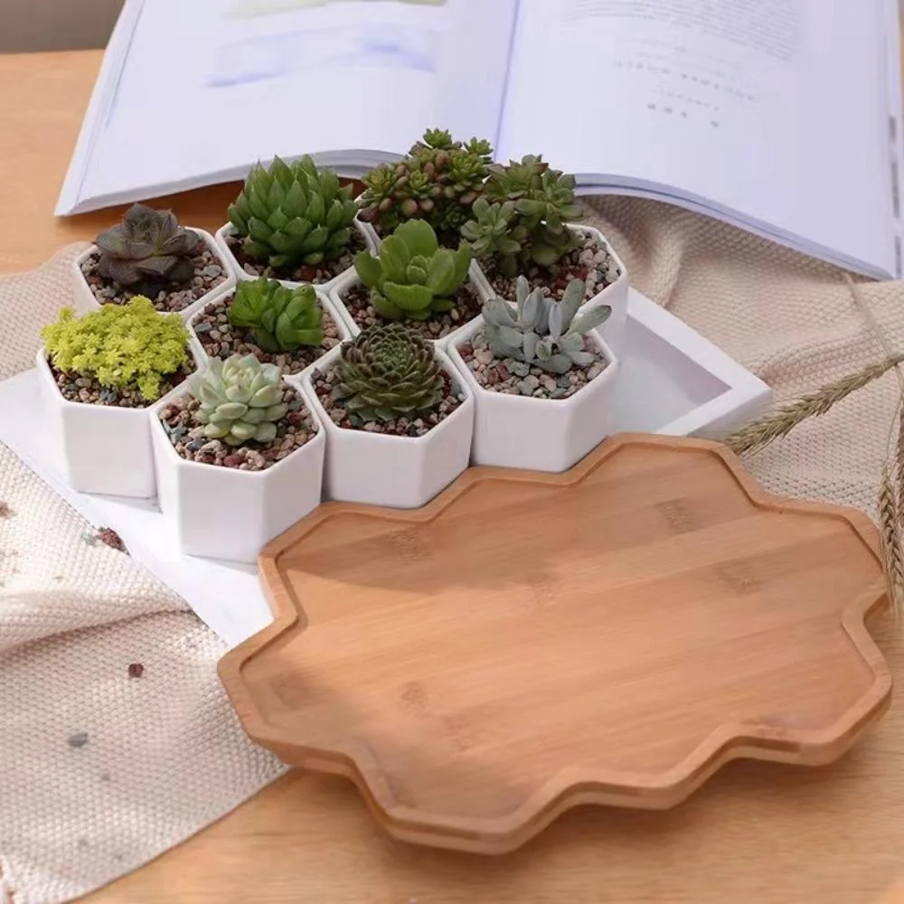 Small Ceramic Hexagon 10 PCS Succulent Pot with Bamboo Tray Mini Assorted Artificial Cactus Plants Faux Cacti Assortment White Pots Bl21946