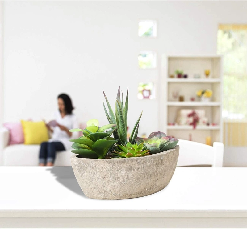 Wholesale Plastic Simulation Artificial Plant Assorted Artificial Succulents in Pot