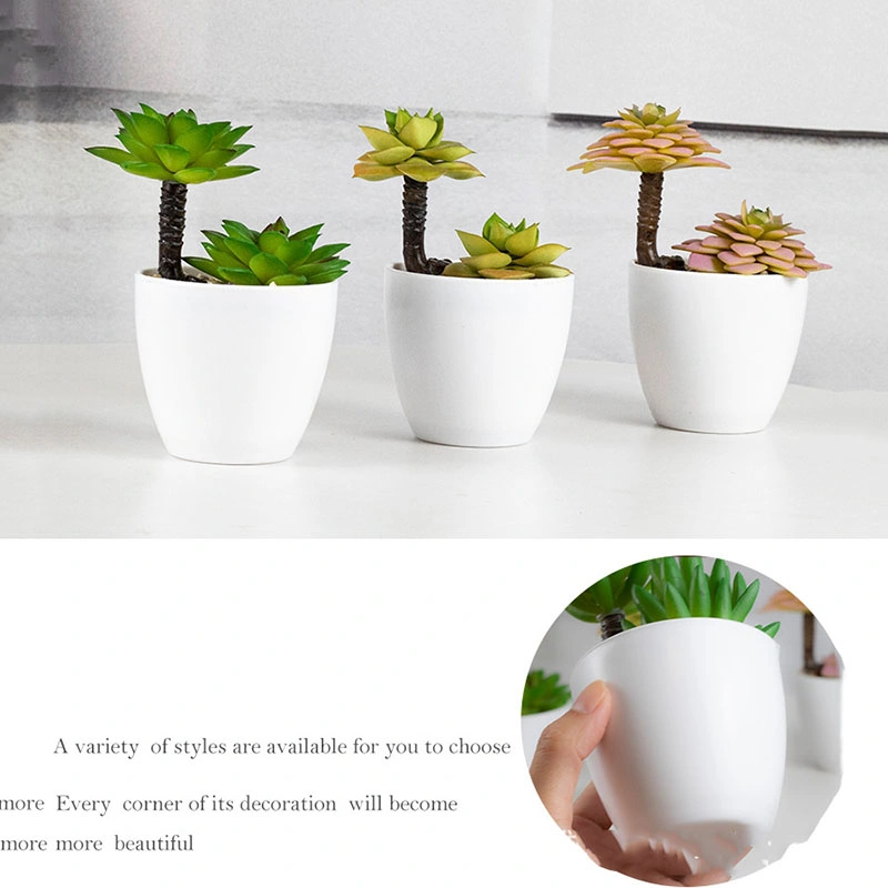 Small Succulents Plants Artificial with Plastic Potted Set of 4