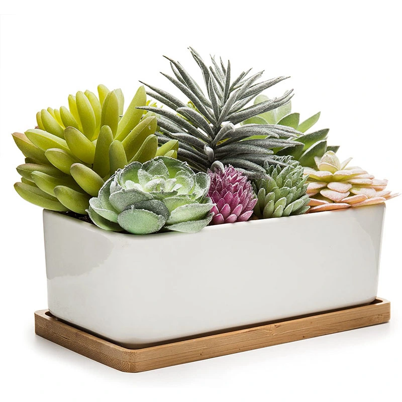 Potted Artificial Succulents in Ceramic Pot with Bamboo Tray