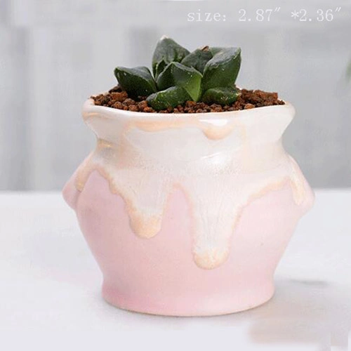 Wholesale Ceramic Mini Plant Pot Cactus Plant Pot Flower Pot