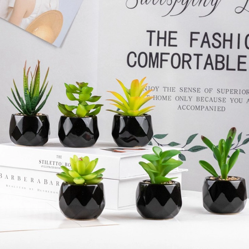 Mini Artificial Succulent Plants in Black Geometric Ceramic Planter Pots