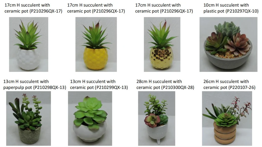 53cm H Artificial Fake Succulent in Glass Pot Wall Decoration Wall Plant