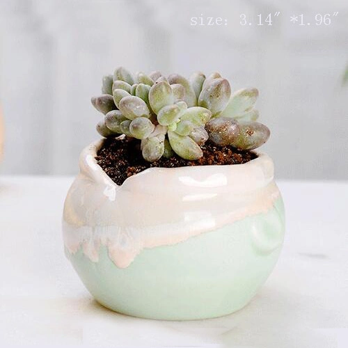 Wholesale Ceramic Mini Plant Pot Cactus Plant Pot Flower Pot