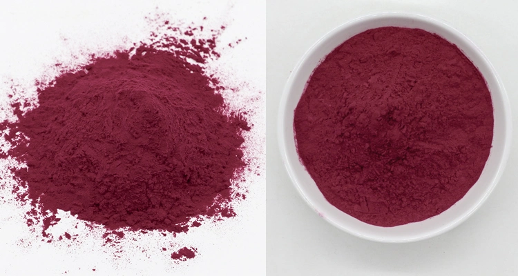 ISO Certified Red Color Beetroot Red Extract Beetroot Extract Betanin