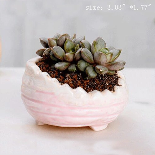 Wholesale Ceramic Mini Plant Pot Cactus Plant Pot Flower Pot