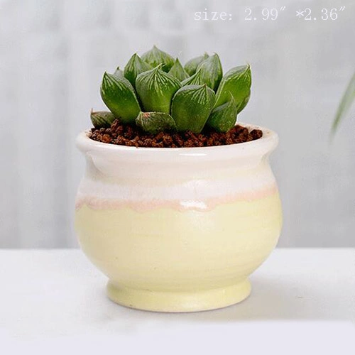 Wholesale Ceramic Mini Plant Pot Cactus Plant Pot Flower Pot