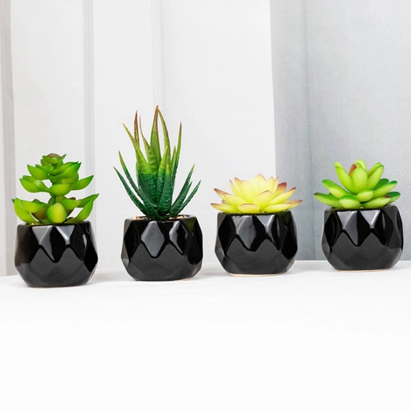 Mini Artificial Succulent Plants in Black Geometric Ceramic Planter Pots