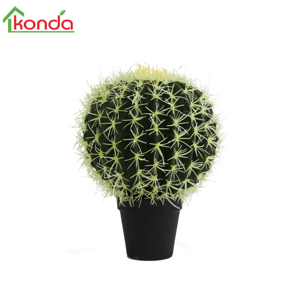 Artificial Rare Cactus Decoration Plant The Cacti