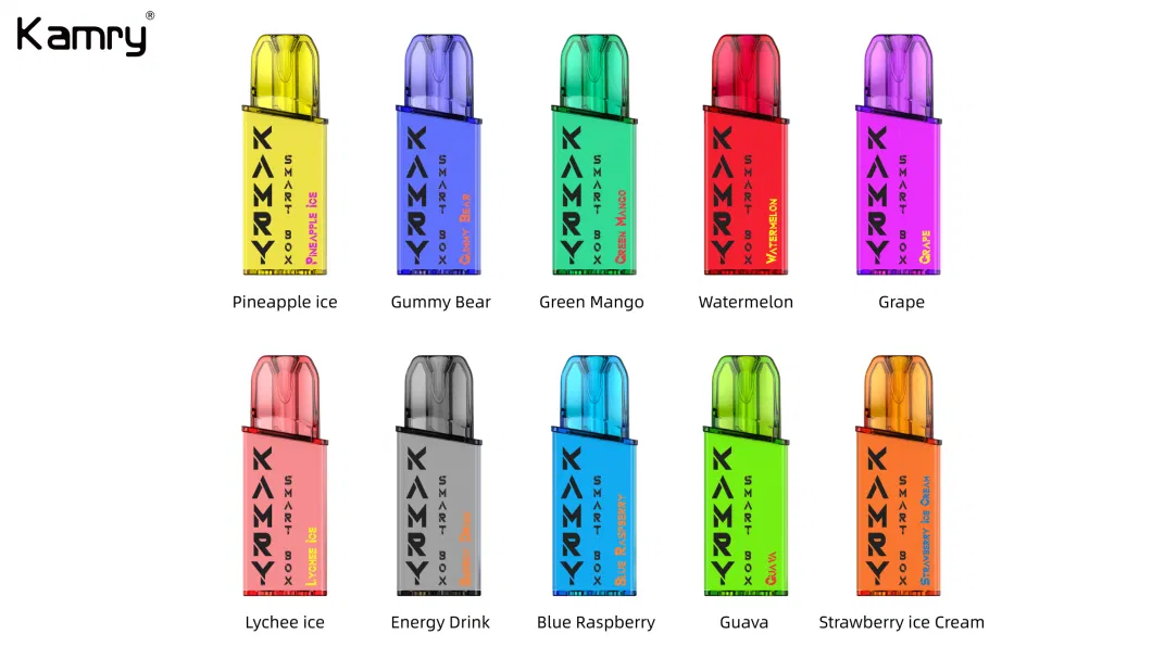 Kamry Smart Box OEM 3ml E-Juicy 600puffs Disposable Vape Wholesale Price Vaper