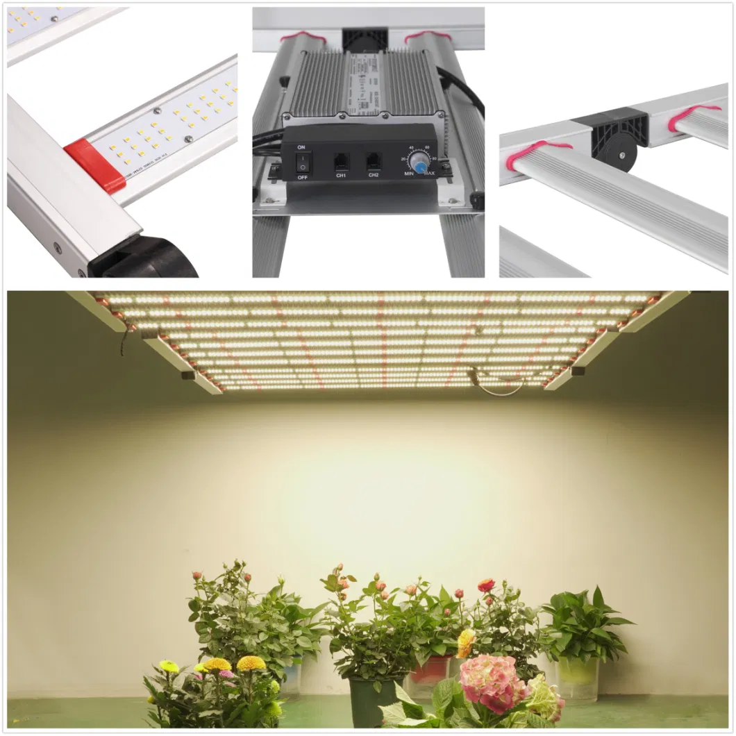 640W Indoor Plant Grow Light Hangers Adjustable, Full Spectrum Grow Light for Seedling Veg Flower Fruits Succulent, Qu