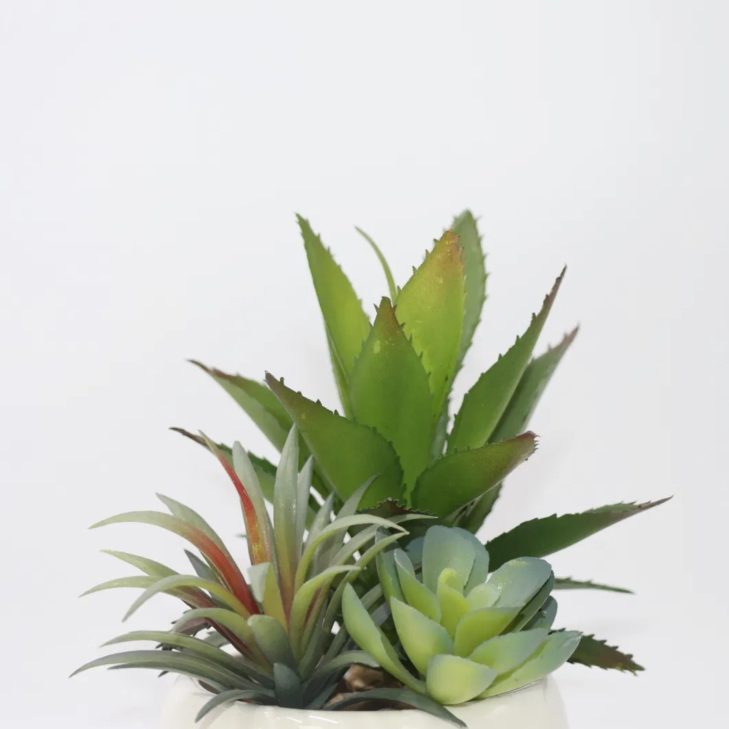 Hot Sales Succulent Plants Wholesale Artificial Plants Succulent for Home Decor