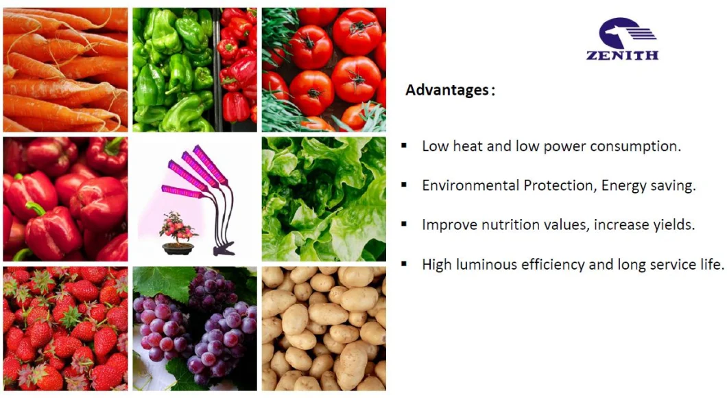 Hot New LED Light Clip Timing Full-Spectrum Sunlight Succulent Plant Seedling Fill Light Plant Growth Lamp Grow Lights