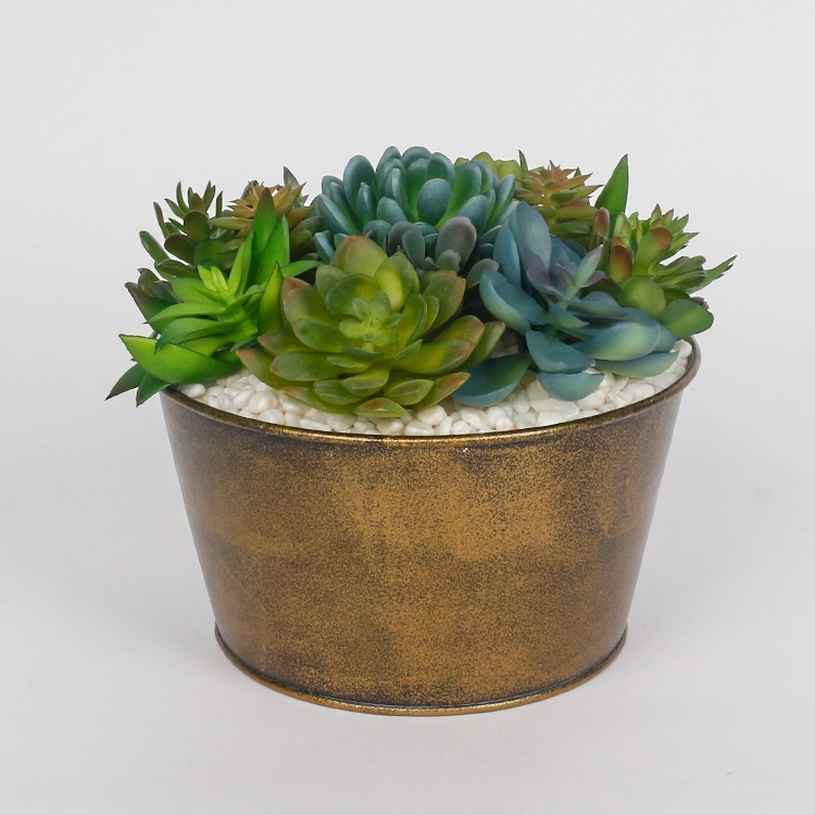 Arrangement Artificial Succulent Plants with Iron Pots Succulent Flower Pot for Home Hotel Decoration