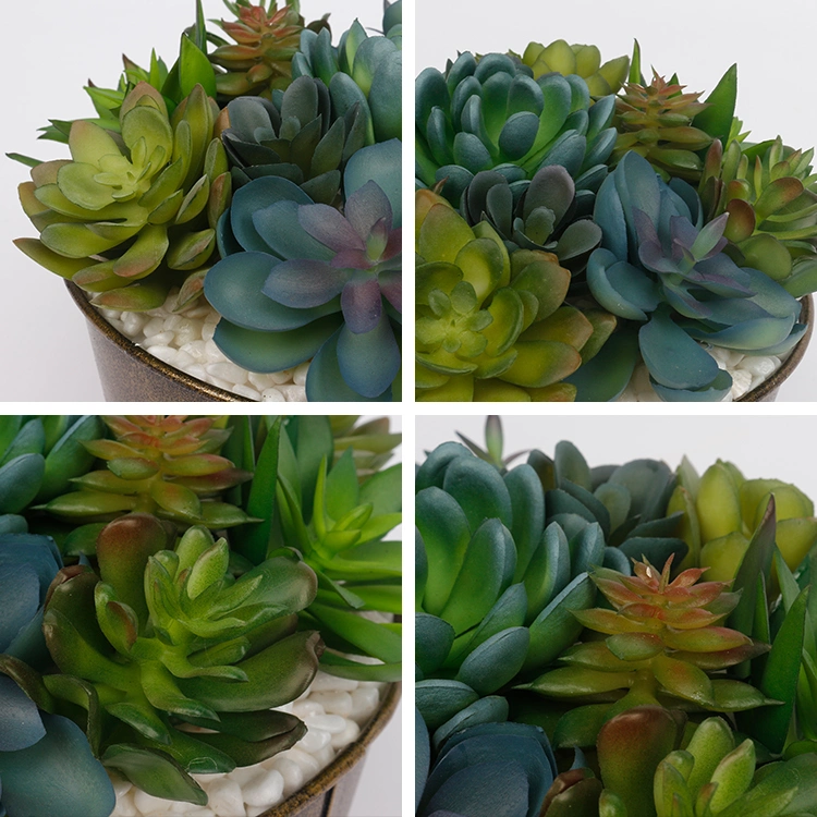 Arrangement Artificial Succulent Plants with Iron Pots Succulent Flower Pot for Home Hotel Decoration