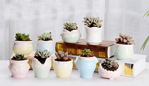 Wholesale Ceramic Mini Plant Pot Cactus Plant Pot Flower Pot