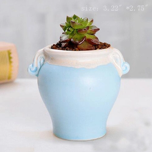 Wholesale Ceramic Mini Plant Pot Cactus Plant Pot Flower Pot