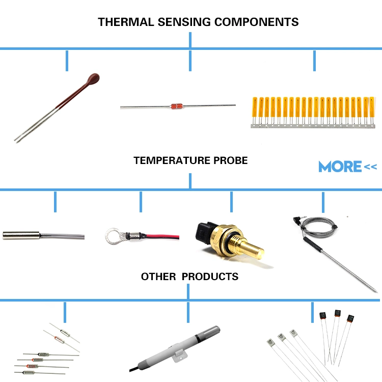 Custom Temperature Test Sensor PT100 PT1000 Class a Class B Rtd Sensor