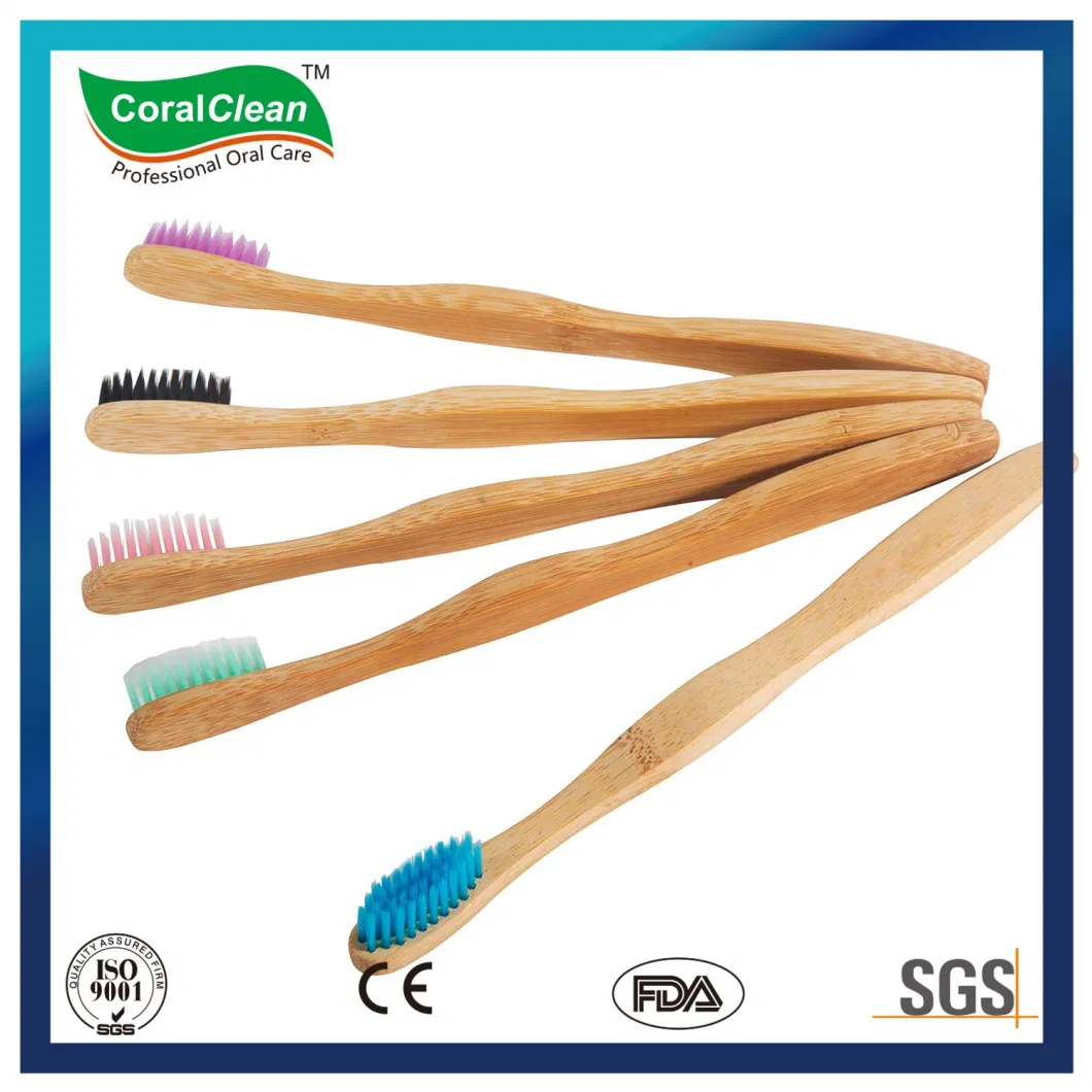 Wholesale Natural Bamboo Toothbrush, Bamboo Charcoal Toothbrush Manufacturer