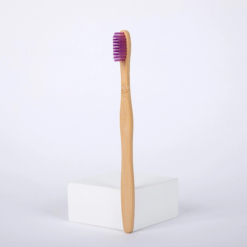 High Quality Cheap Custom Manual Bamboo Adult Eco Friendly Biodegradable Travel Toothbrush