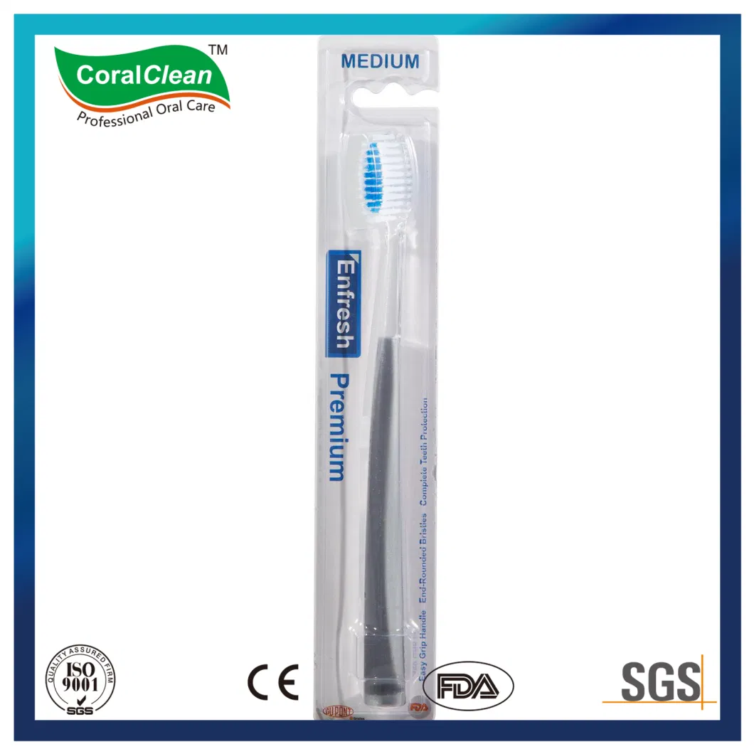 Three Components Toothbrush Tongue Cleaner Tootbrush