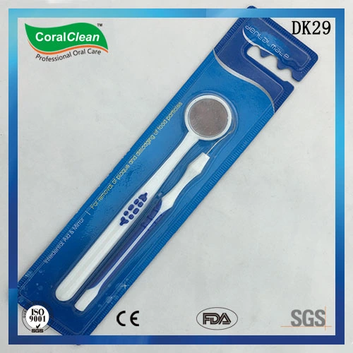 Dental Care Kit Contain Toothbrush, Nylon Floss and Flosspick