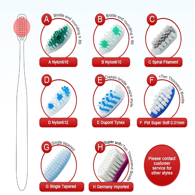 Adulus&prime; Nylon Bristle Toothbrush with Cover