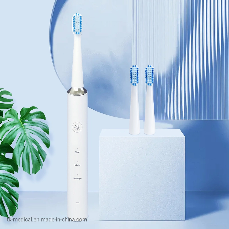 Professional Ipx7 Waterproof Smart Timer Sonic Electric Toothbrush