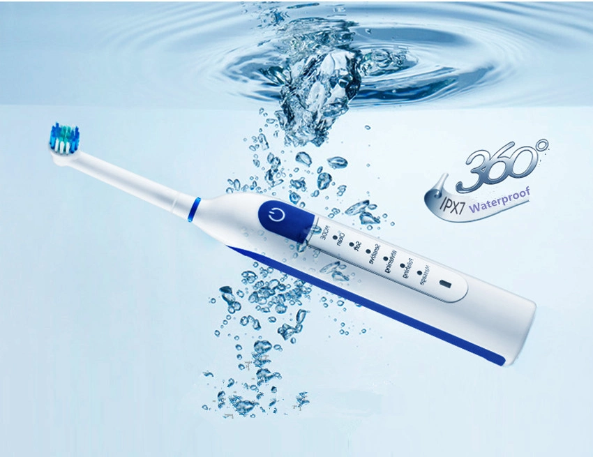 Ipx7 Waterproof Inductive Charging Six Cleaning Modes Oscillating Electric Tooth Brush